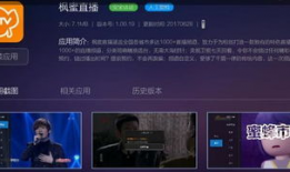 在线天堂视频,探索虚拟世界的无限魅力